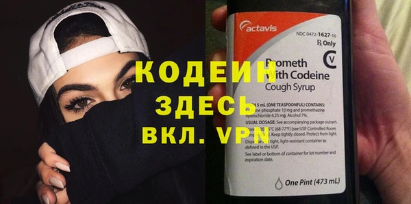 дурь Вяземский