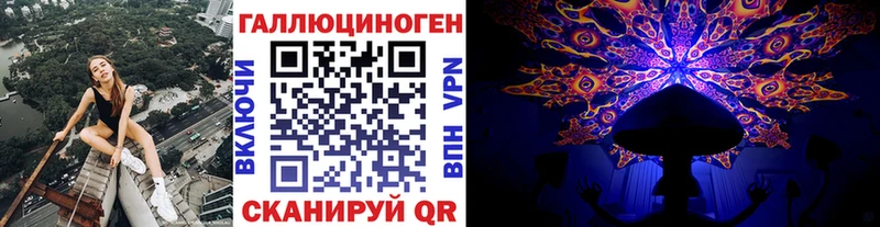 Псилоцибиновые грибы Cubensis Карасук